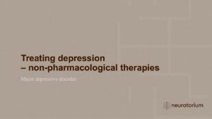 Major Depressive Disorder – Treatment Principles – slide 3